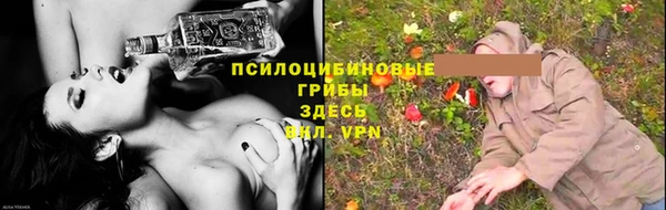мет Алексин