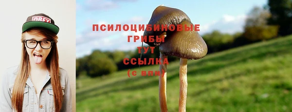 ECSTASY Алзамай