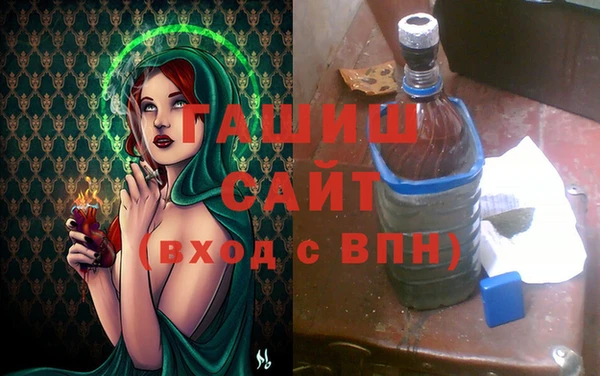 гашик Алексеевка