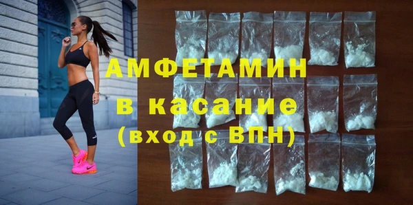 мет Алексин