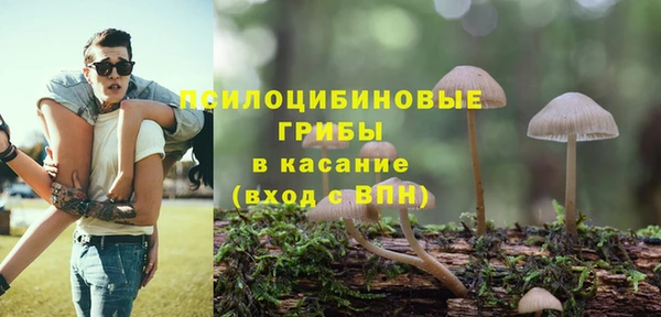 ECSTASY Алзамай