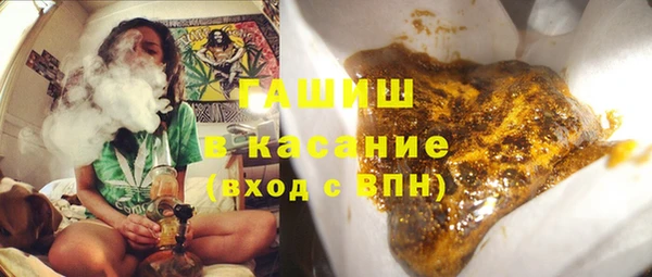 ECSTASY Алзамай