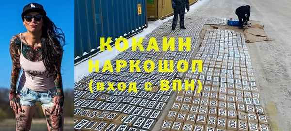 гашик Алексеевка