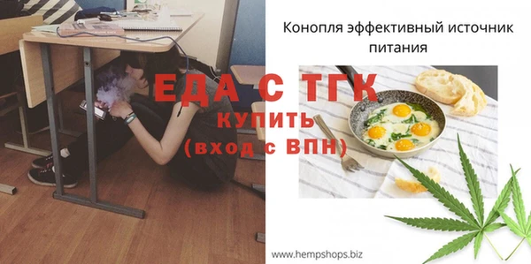 ECSTASY Алзамай