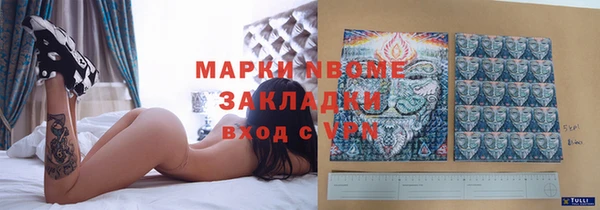 гашик Алексеевка