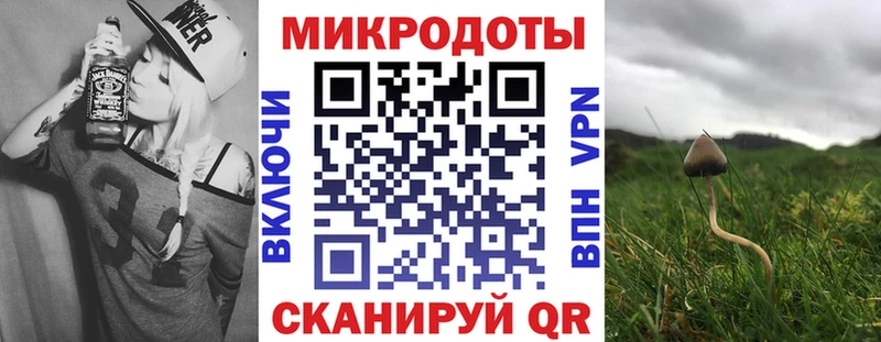 купить наркотики цена  Невьянск  маркетплейс как зайти  Псилоцибиновые грибы мицелий 